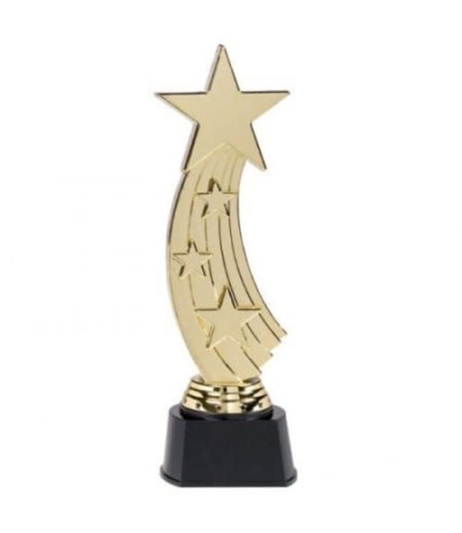 Amscan Inc. Shooting Star Award