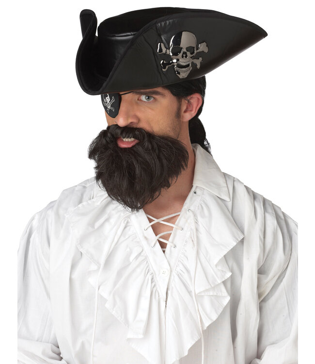 California Costumes The Captain Beard & Moustache