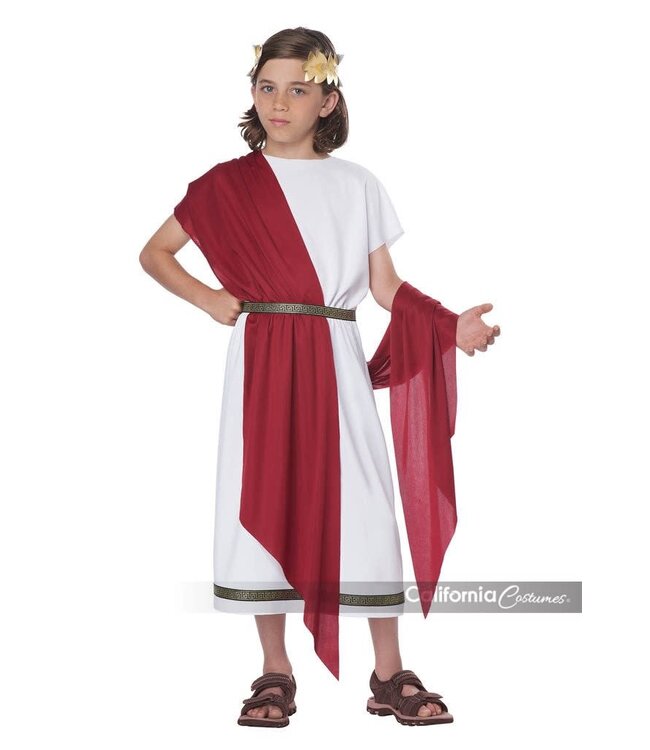 California Costumes Basic Toga Boys Costume