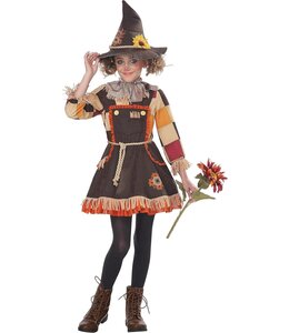 California Costumes Patchwork Scarecrow Dress