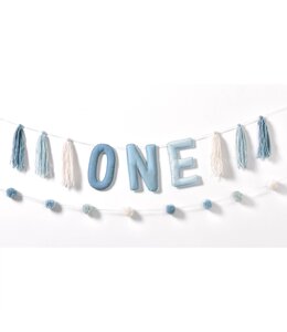 Amscan Inc. Little Mister One-derful Plush Banner