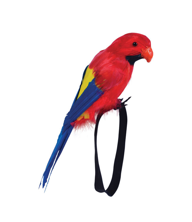Rubies Costumes Parrot-Feather Wrist