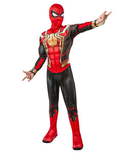 Rubies Costumes Deluxe Spider-Man Iron Spider Costume