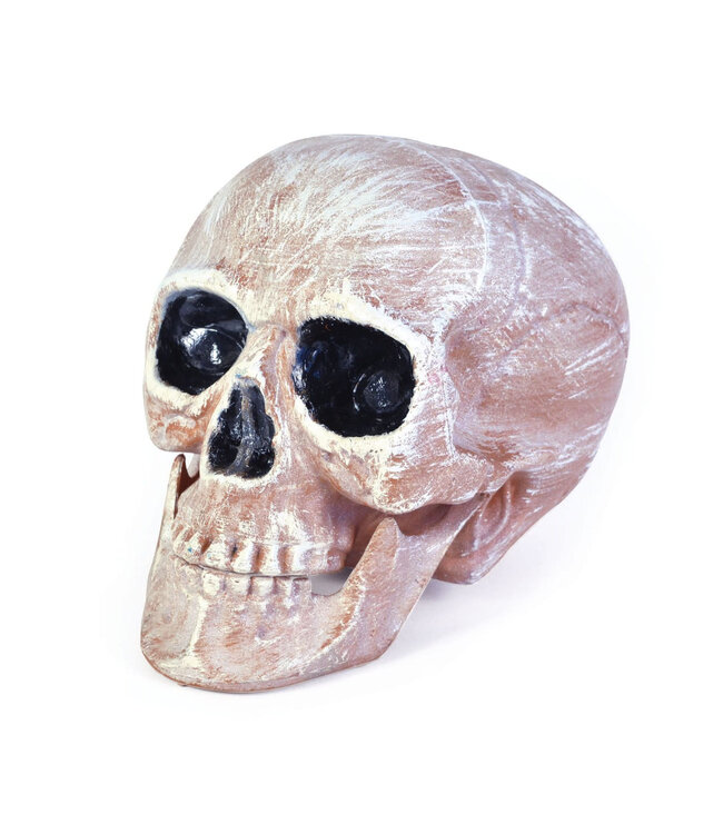 Rubies Costumes Skull Head Realistic