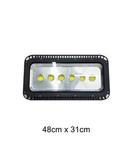 Spot Light (48X31) cm-Rental