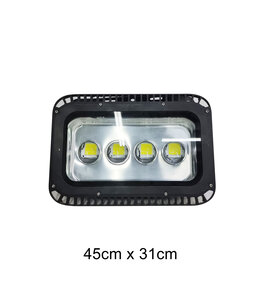 Spot Light (45X31) cm-Rental