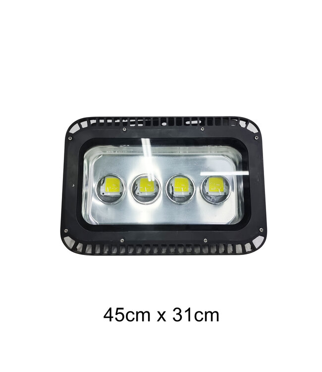 Spot Light (45X31) cm-Rental