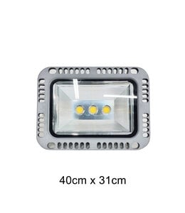 Spot Light (40X31) cm-Rental