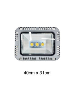 Spot Light (40X31) cm-WH List
