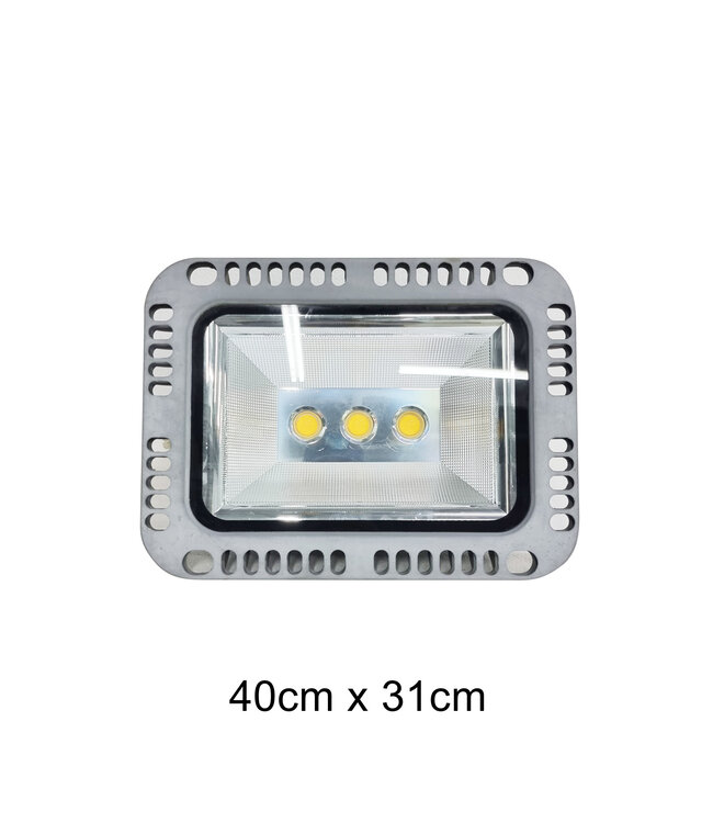 Spot Light (40X31) cm-WH List