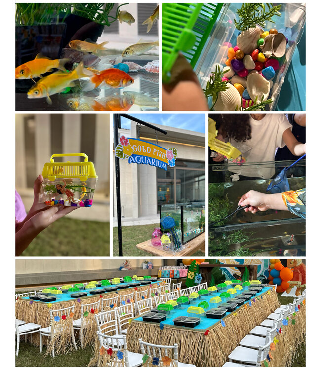 FP Party Supplies Arts and Crafts/10 Persons-Gold Fish Tank