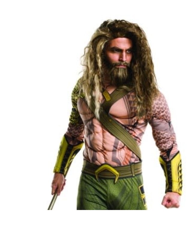 Rubies Costumes Adult Aquaman Beard And Wig Set