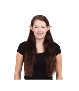 Rubies Costumes Elf Ears