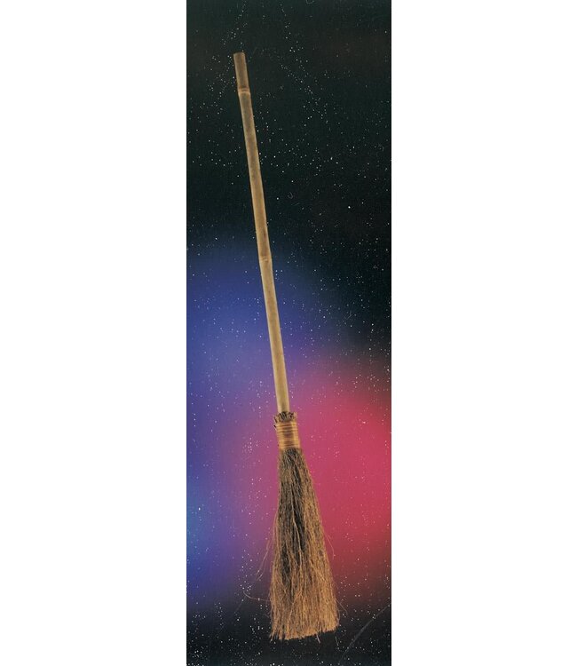 Rubies Costumes Economy Witch Broom
