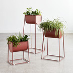SET OF 3 MODELLO SWAN PLANTERS by Gus* Modern