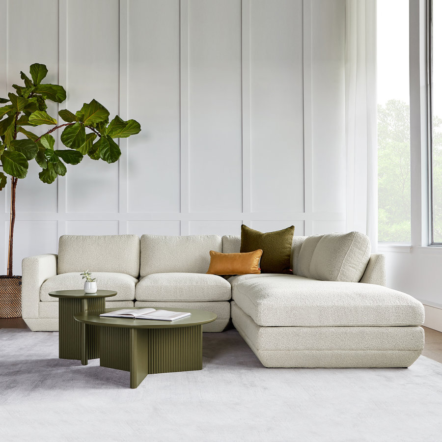 Curated Collection