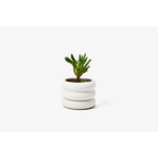 JARDINIÈRE STACKING PLANTER MINI BLANC