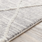 AZILAL 2304 RUG