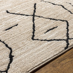 COZY RUG 2301