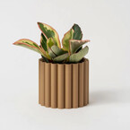 LE FLEURI PLANTER 6'' BOIS