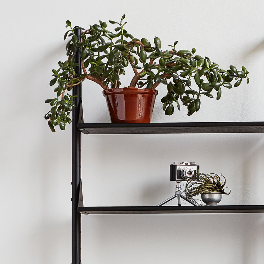 BRANCH 1 - ÉTAGÈRE par Gus* Modern