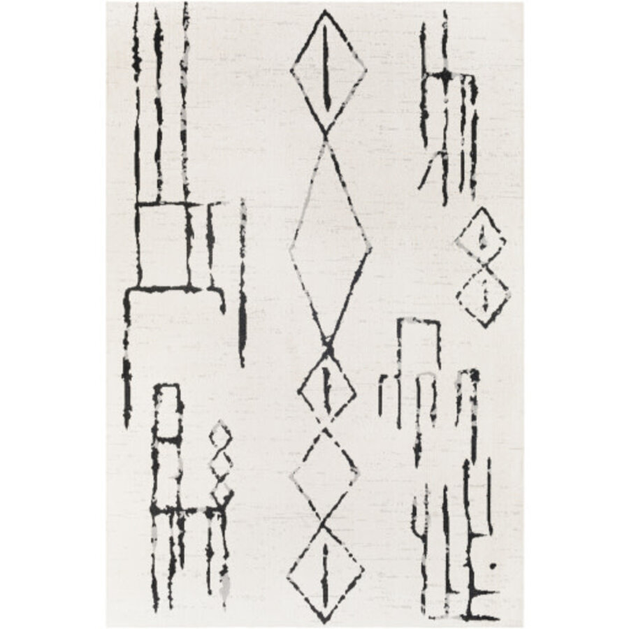 LAVADORA RUG 2318