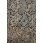 TABLE D'APPOINT TRIPTIC par Ethnicraft