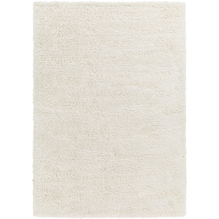 TAPIS BOGOTA SHAG 2301