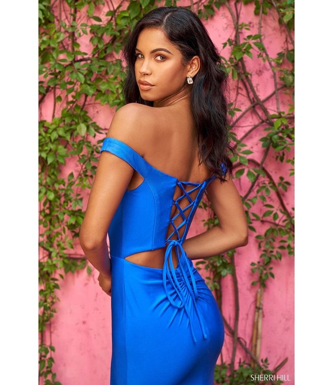 54203 Robe Ajustée Et Dos Lacé Royal