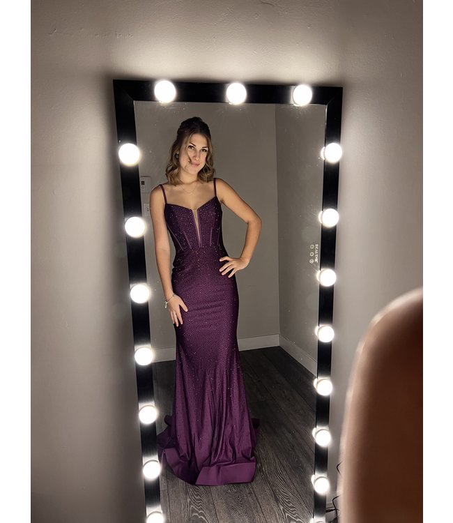 55519 Robe Plum  À Corset Scintillante