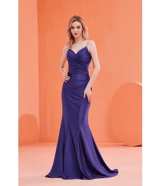 j22025 Robe Ajusté Royal