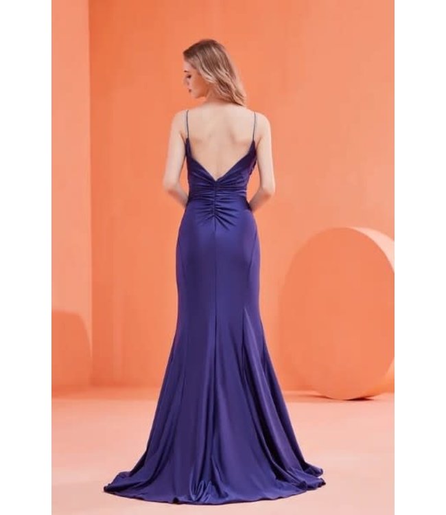 j22025 Robe Ajusté Royal