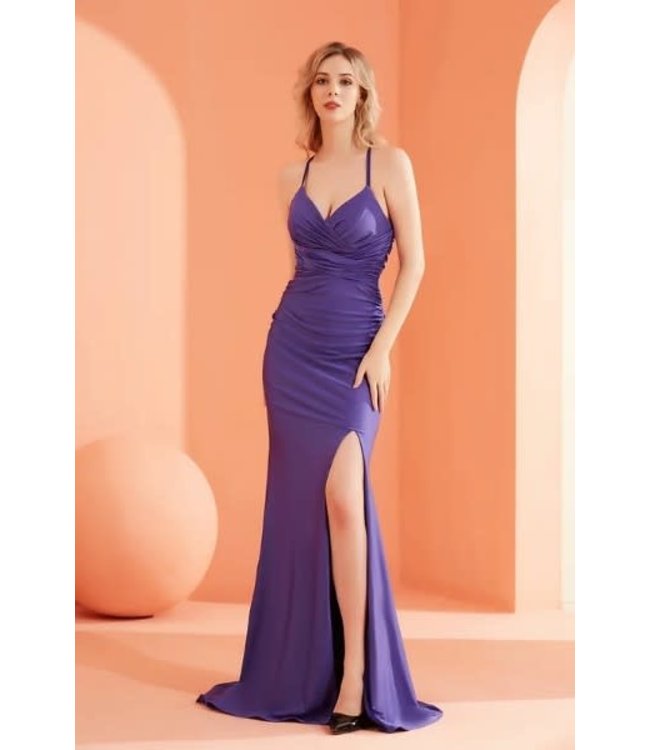 J22024 Robe Ajusté Royal