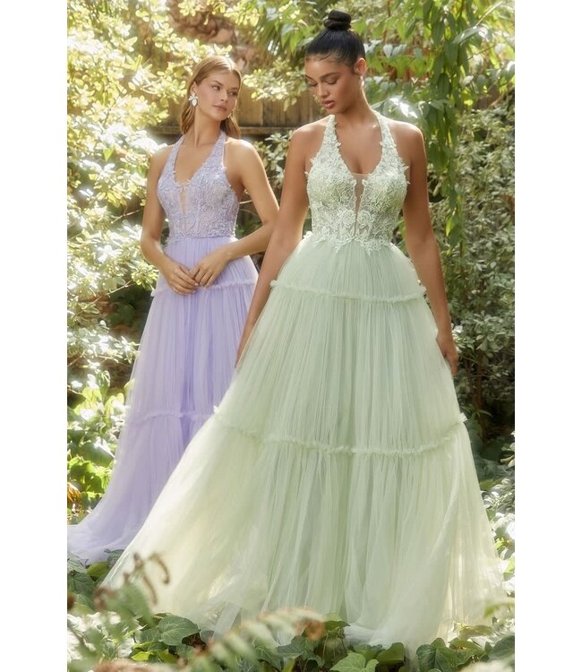 6021 Robe En Tulle Vert Pâle