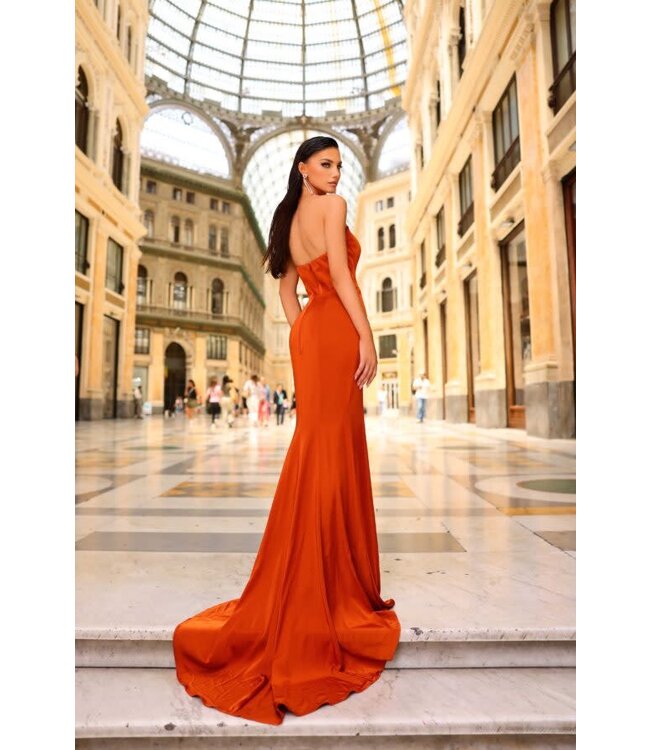 NC1063 Robe Sirène Rust