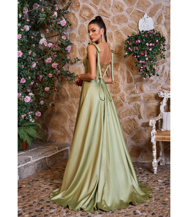 J26037 Robe Fluide Sauge