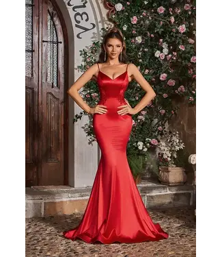 J26038 Robe Satinée Ajustée Rouge
