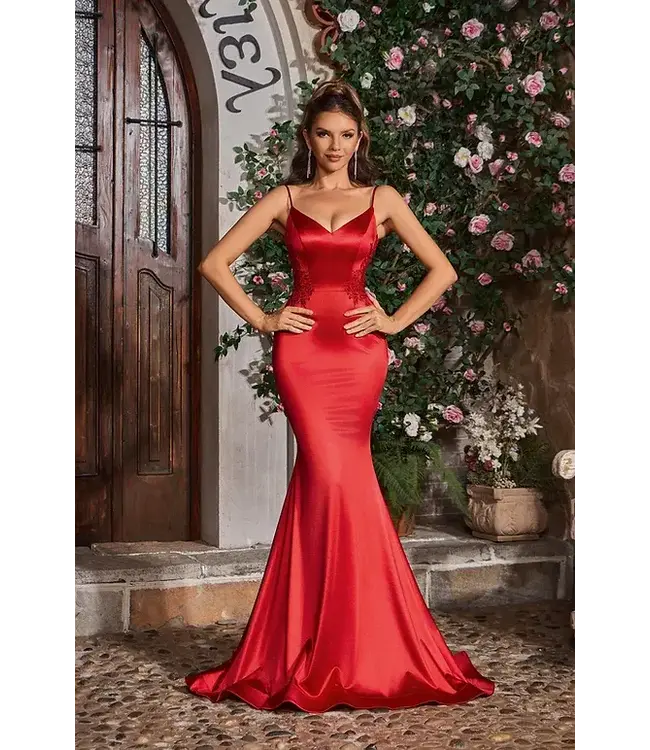 J26038 Robe Satinée Ajustée Rouge