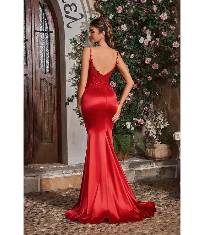 J26038 Robe Satinée Ajustée Rouge