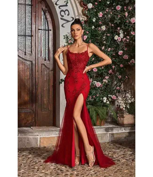 J26009 Robe À Broderies Bourgogne