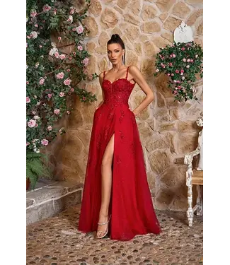 J26011 Robe En Tulle Bourgogne
