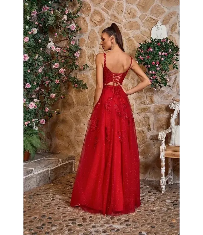 J26011 Robe En Tulle Bourgogne
