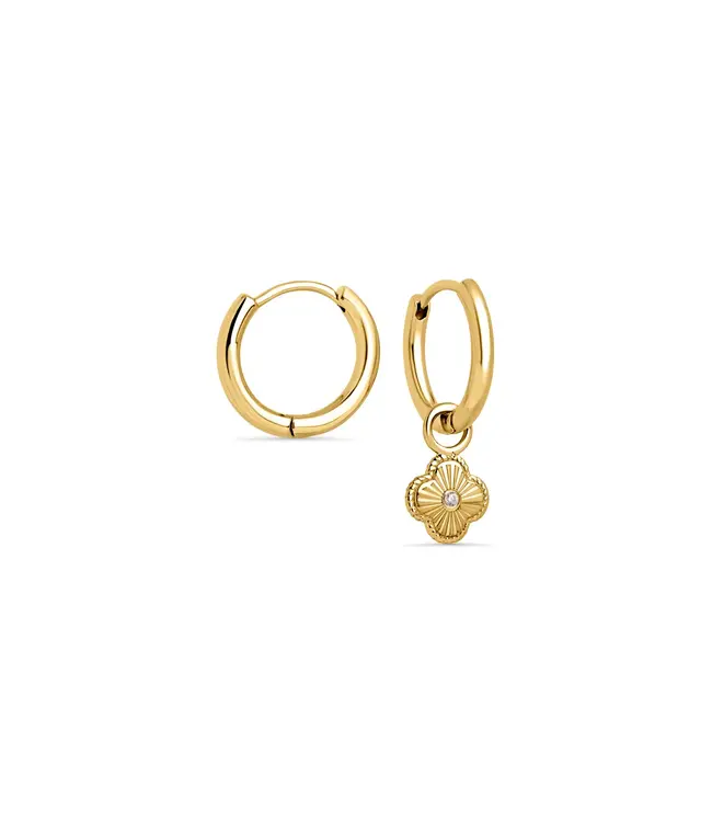 Mia Boucle Dormeuse Paula Or