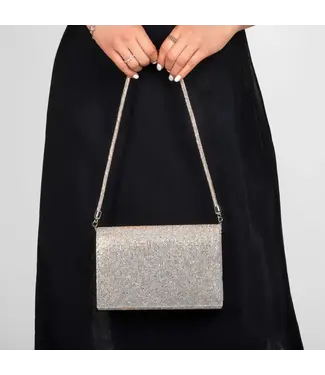 Sac À Main Argent Brillant Plat