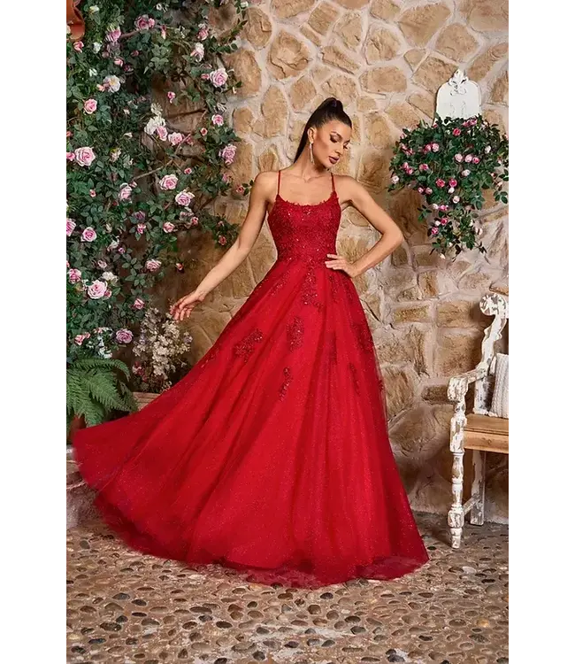 J26010 Robe Princesse Wine