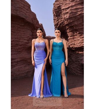 J27018 Robe croset ajustée Periwinkle