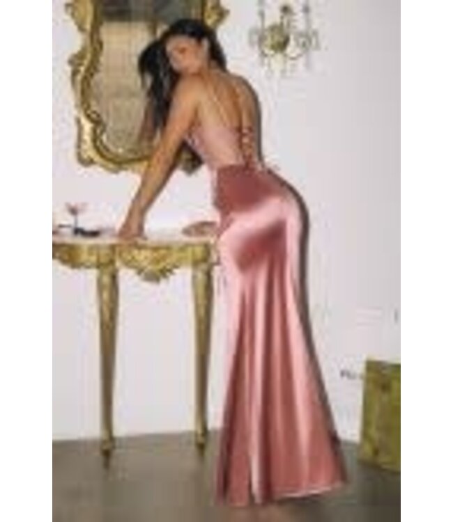 218 Robe Corset Transparent Rose