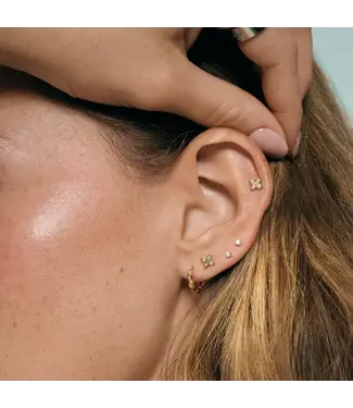 Boucles Fixes Siona Or