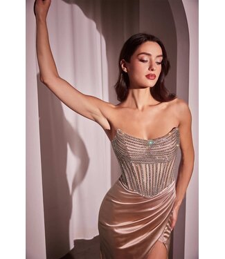 161 Robe Bustier Ajustée Blush