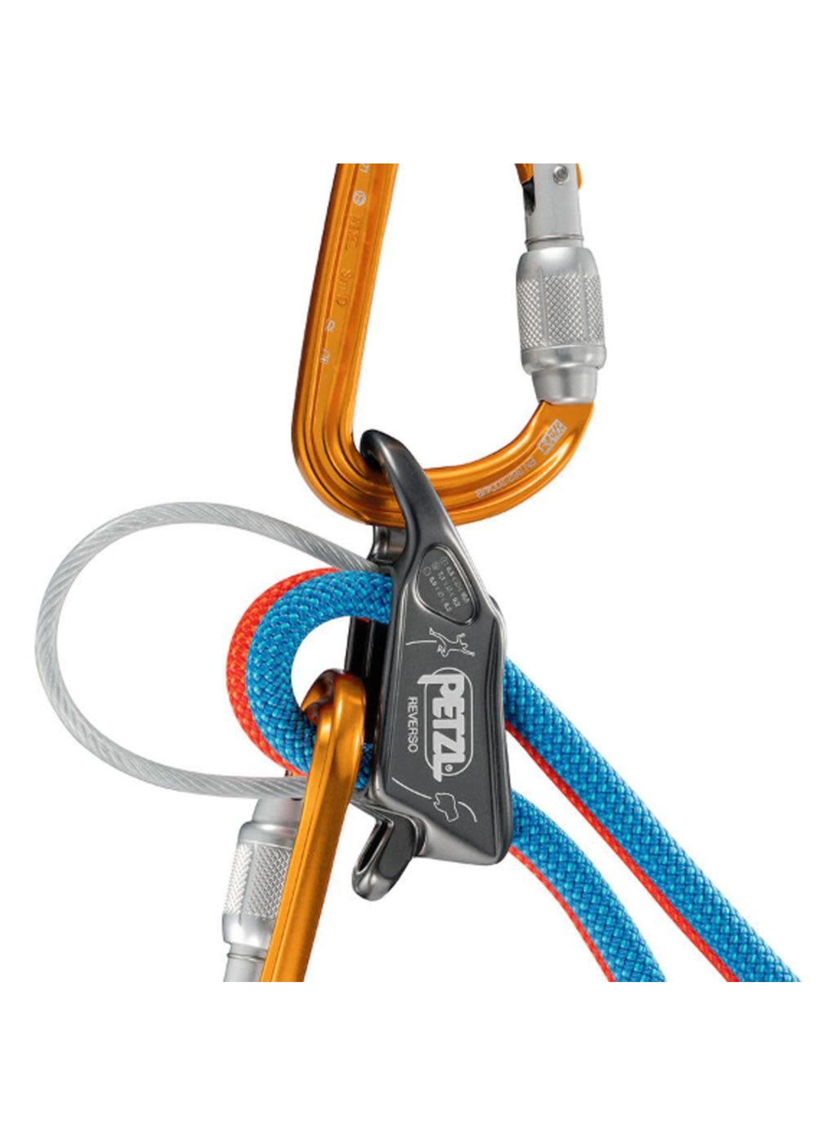 Petzl Assureur-descendeur Petzl Reverso